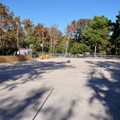 Pineta San Francesco, ripresi i lavori per la pista di pattinaggio