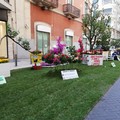 A Bari è tempo di  "Primavera mediterranea ". In via Argiro un grande giardino urbano