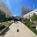 L'oasi urbana di  "Primavera Mediterranea " in Piazza del Ferrarese a Bari