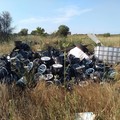 Rifiuti speciali abbandonati in campagna, i Rangers Puglia: «Situazione pericolosa»