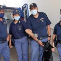 Un riccio di terra rimane incastrato fra i binari, lo salva il cane poliziotto Zatlan
