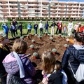 Rigenerazioni creative, i bambini della scuola primaria piantano 150 piantine a Palese