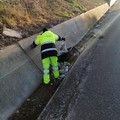 Palese, ripulito il canale di scolo ostruito dai rifiuti lanciati dalle auto