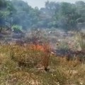 Prevenzione degli incendi nelle campagne di Bari, in vigore l'ordinanza comunale