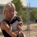 Sindaco di Bari firma ordinanza a tutela degli animali d'affezione