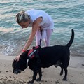 Spiagge e accesso alla battigia a Bari: garantire il libero transito ad animali domestici
