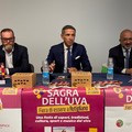 Arriva a Rutigliano la sagra dell'uva da tavola: il programma