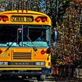 Servizio trasporto scolastico: aperte le iscrizioni per il prossimo anno