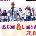 Il concerto Pop&Blues della rete civica urbana di Japigia e Sant'Anna