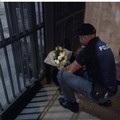 Bari omaggia i due agenti uccisi a Trieste, un cittadino deposita fiori davanti alla questura