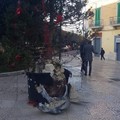 Gravina, distrutto da una bomba l'albero di Natale in piazza