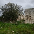  "Sentieri Quotidiani ", una passeggiata naturalistica nell'agro dei quartieri Ceglie e Carbonara di Bari