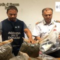 Porto di Bari, sequestrati 11 kg tra marijuana e olio di hashish