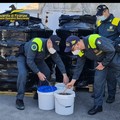 Porto di Bari, sequestrato carico di 3700 kg di oloturie destinate al mercato illegale