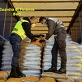 Due camion carichi di pellet illegale, scattano sequestro e denuncia al porto di Bari