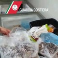 Pesce senza etichetta, multa da 4.500 euro al titolare di un deposito abusivo nel centro di Bari