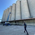 Porto di Bari, i silos granari diventano opera muraria grazie all'artista australiano Guido van Helten