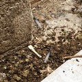 Tra siringhe e spazzatura, scene di degrado a Bari vecchia
