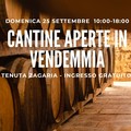 “Cantine Aperte in Vendemmia”: l’azienda Conte Spagnoletti Zeuli apre le porte agli enoappassionati