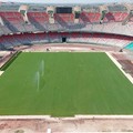 Stadio San Nicola, pronto il nuovo prato. E oggi la squadra torna ad allenarsi a Bari