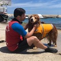 Bari dice addio a Texas, cane-bagnino di Pane e Pomodoro