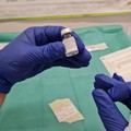 Bari, indagati circa 20  "furbetti " del vaccino: saranno interrogati