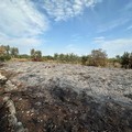 Valenzano, individuato il responsabile dello sversamento di rifiuti agricoli nelle campagne