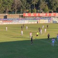 Il Bari si salva nel recupero: D'Ursi-goal, con la Viterbese è 1-1