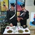 Toritto, in casa con mezzo chilo di droga. Arrestato pusher 33enne