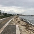 Waterfront di San Girolamo, Melini: «Verifica urgente dopo il maltempo»