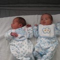 Falsa la notizia dei gemelli nati in due anni diversi