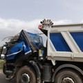 Forte vento su Bari, albero cade su un camion in via Trisorio Liuzzi