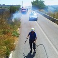 Continua a bruciare la campagna di Bari, le fiamme lambiscono la strada
