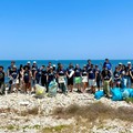 Plastic Free Tour nei quartieri di Bari: quasi 2 tonnellate di rifiuti rimossi e 400 volontari coinvolti