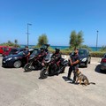Bari, quartiere San Girolamo: servizio straordinario di controllo da parte dei Carabinieri