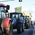 Bari, 5.000 agricoltori in piazza con i trattori: Coldiretti Puglia chiede lo stato di crisi del settore