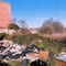 Amiu Puglia, a Bari rimossi rifiuti abbandonati su strada san Giorgio Martire
