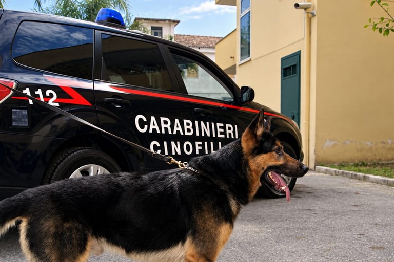 17 chilogrammi di marijuana nei pacchi: blitz dei Carabinieri a Bari