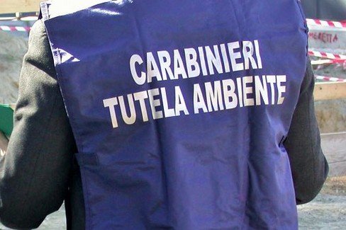 carabinieri noe