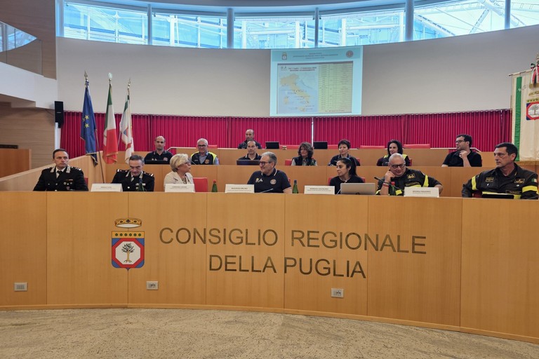 Incendi boschivi in Puglia, illustrato il Piano Regionale 2025