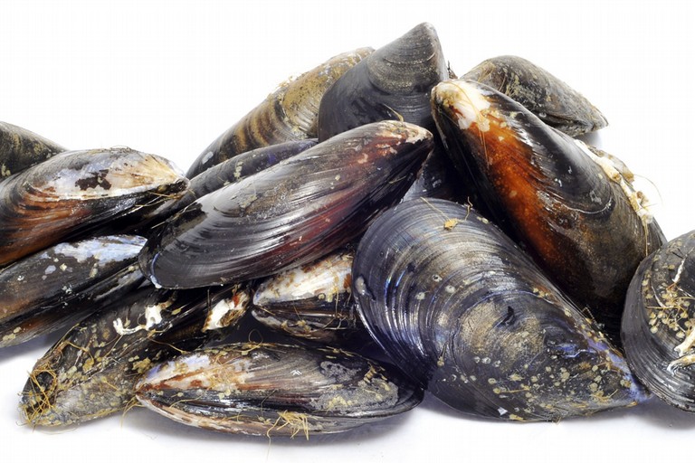 Cozze