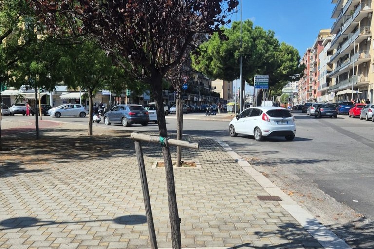 Prunus Largo 2 Giugno. <span>Foto Comune di Bari </span>