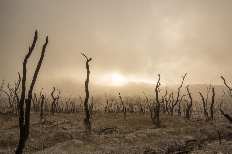 Cambiamenti climatici
