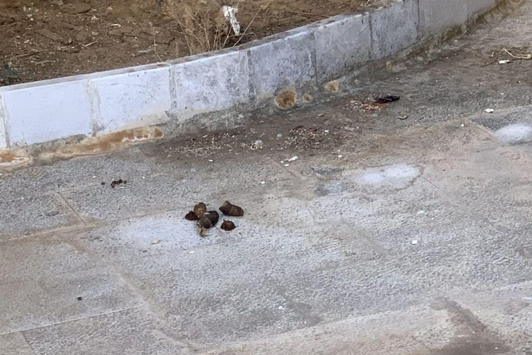 degrado cimitero di bari