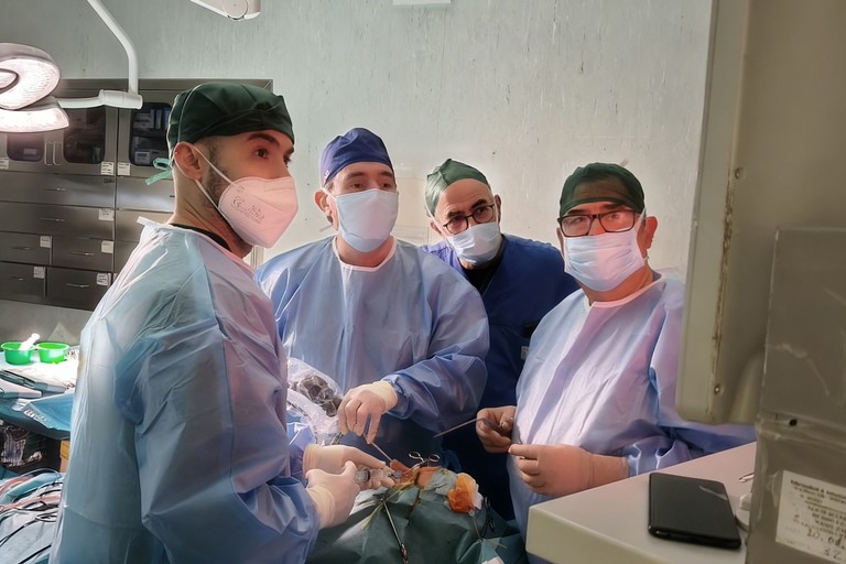 equipe otorinolaringoiatria