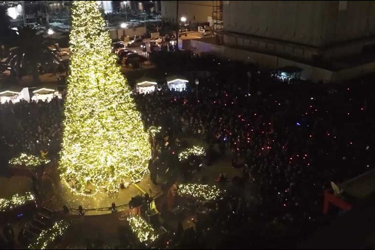 L'albero illuminato in collaborazione con Amgas nel 2017