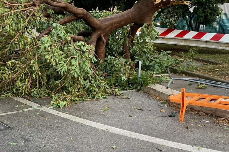 Il parcheggio di Torre Quetta