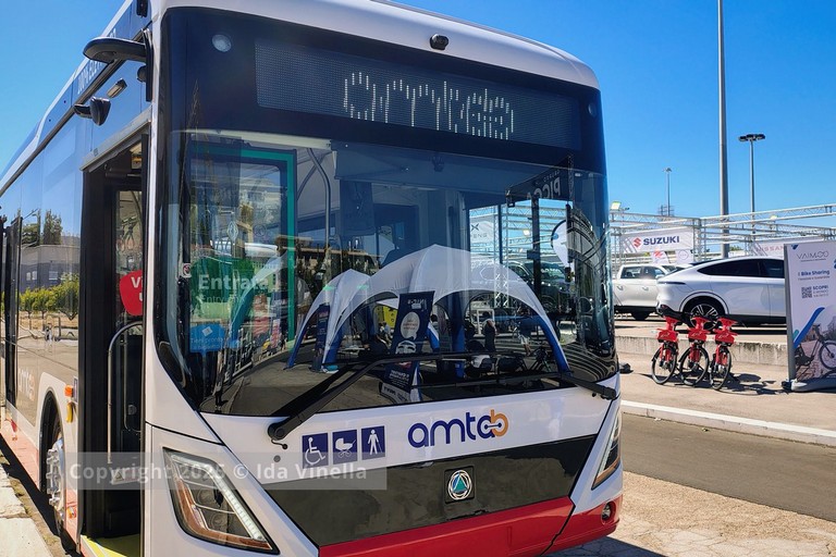 Amtab. <span>Foto Ida Vinella</span>