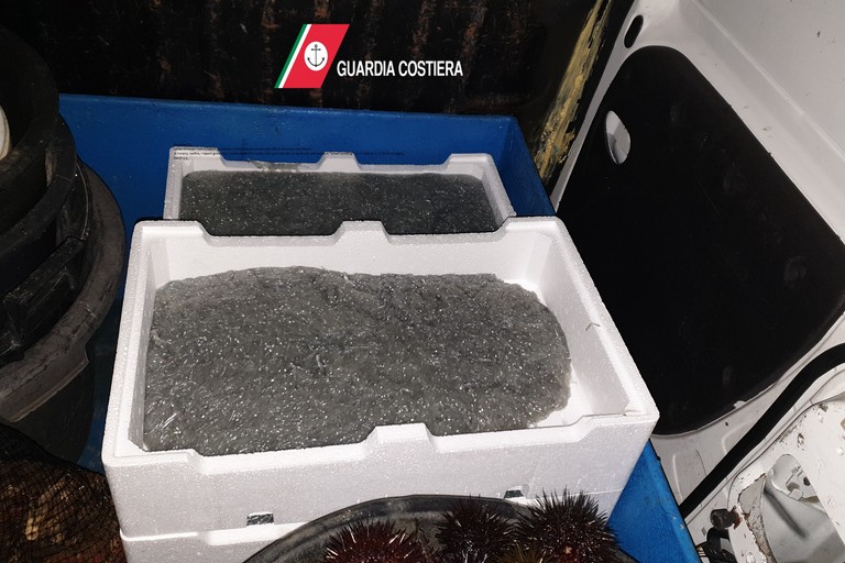 sequestro pescato illegale