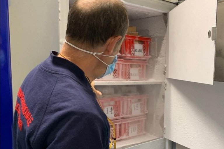 frigoriferi vaccini covid policlinico di bari